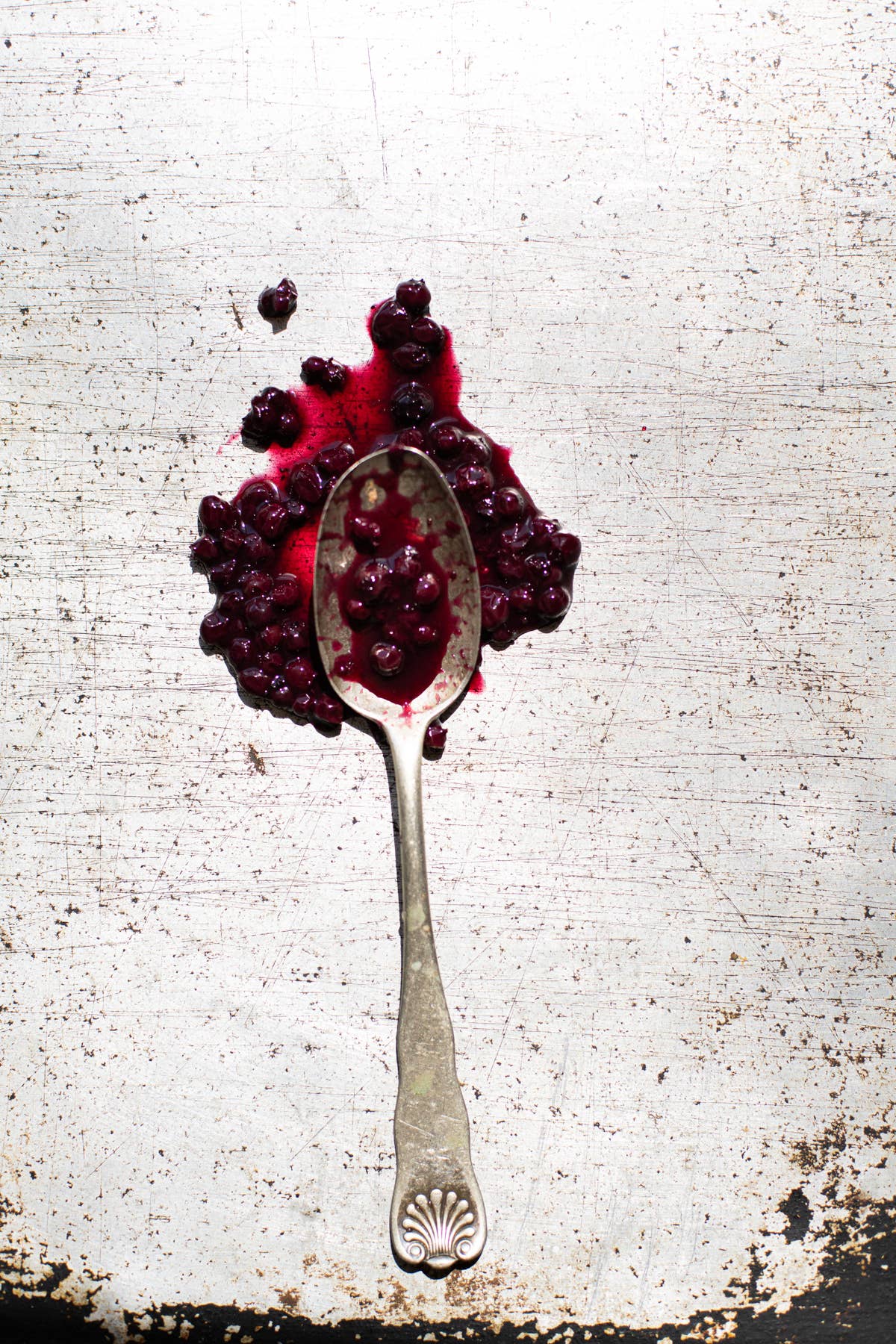 Smithereen Farm – wholesale Jam/jelly – Organic Wild Blueberry Topping2