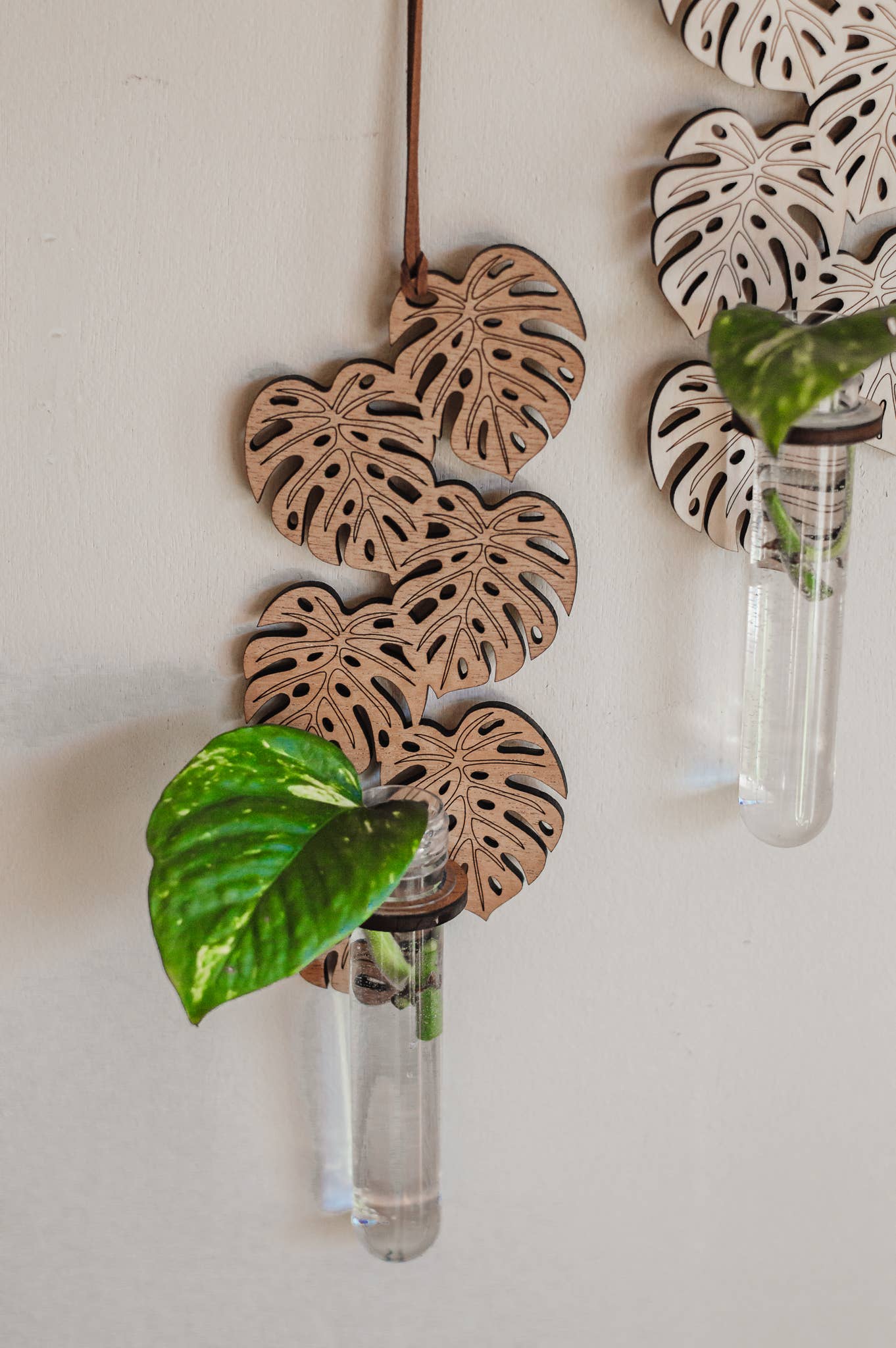 PlantsNsht - Wholesale Hanging Planter - Monstera Hanging Propagation Station - Choose Your Color2