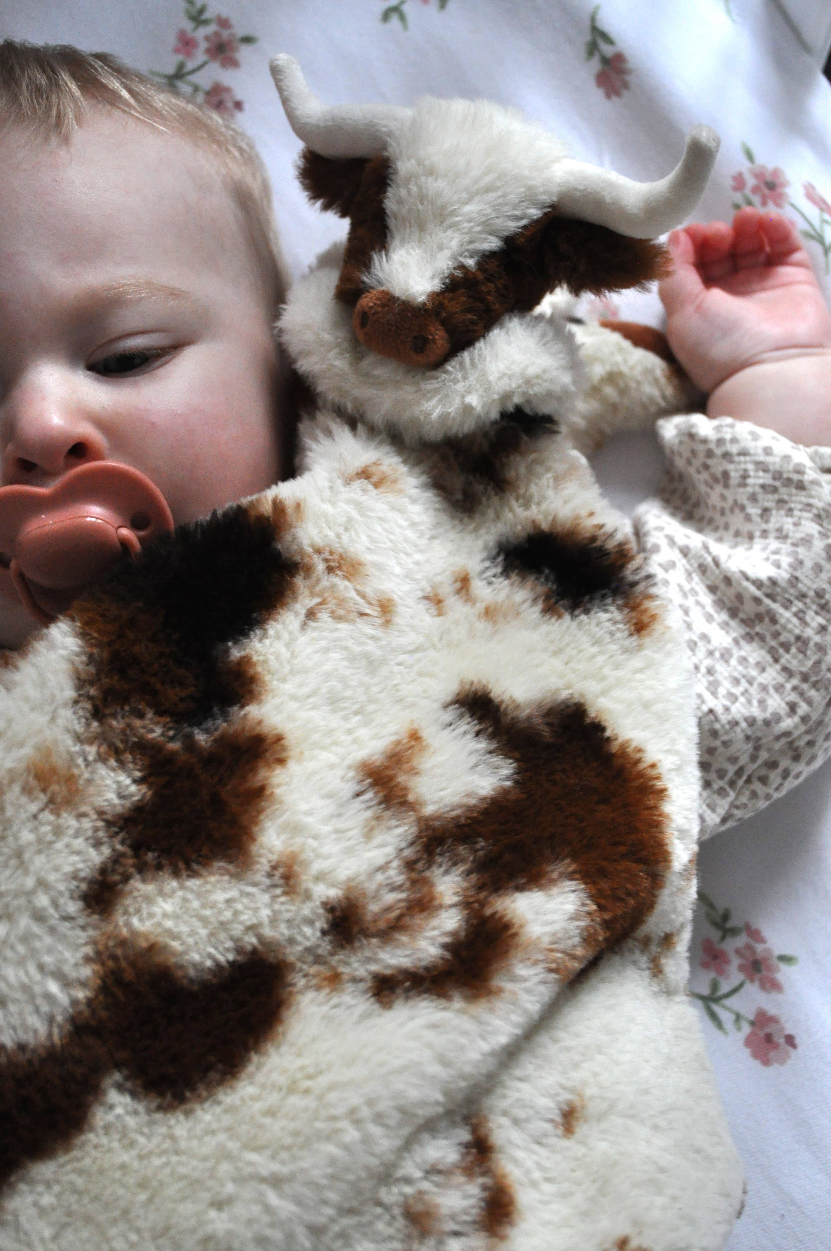 Jomanda Soft Toys & Accessories - Vente Couverture douillette – bébé - Jouet Apaisant en Peluche Vache Highland Bébé Texas Longhorn7