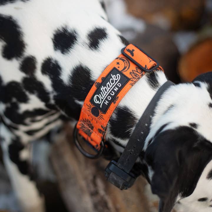 Outback Hound - Wholesale Pet collar – Dog - Orange Agave Dog Collar2