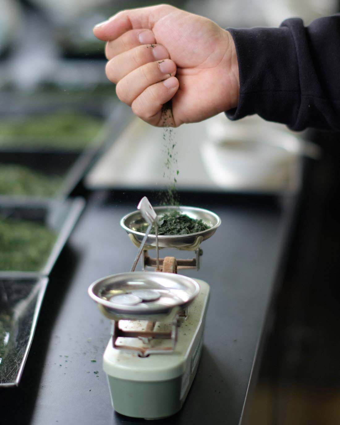 HAPPY NUTS DAY_Japan - Wholesale Nut Butter - Matcha Peanut Butter 3.9oz5