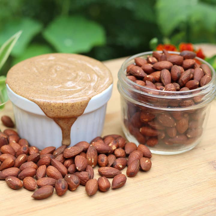 East Wind Nut Butters - Wholesale Nut Butter - Almond Butter, Smooth , 16 oz.