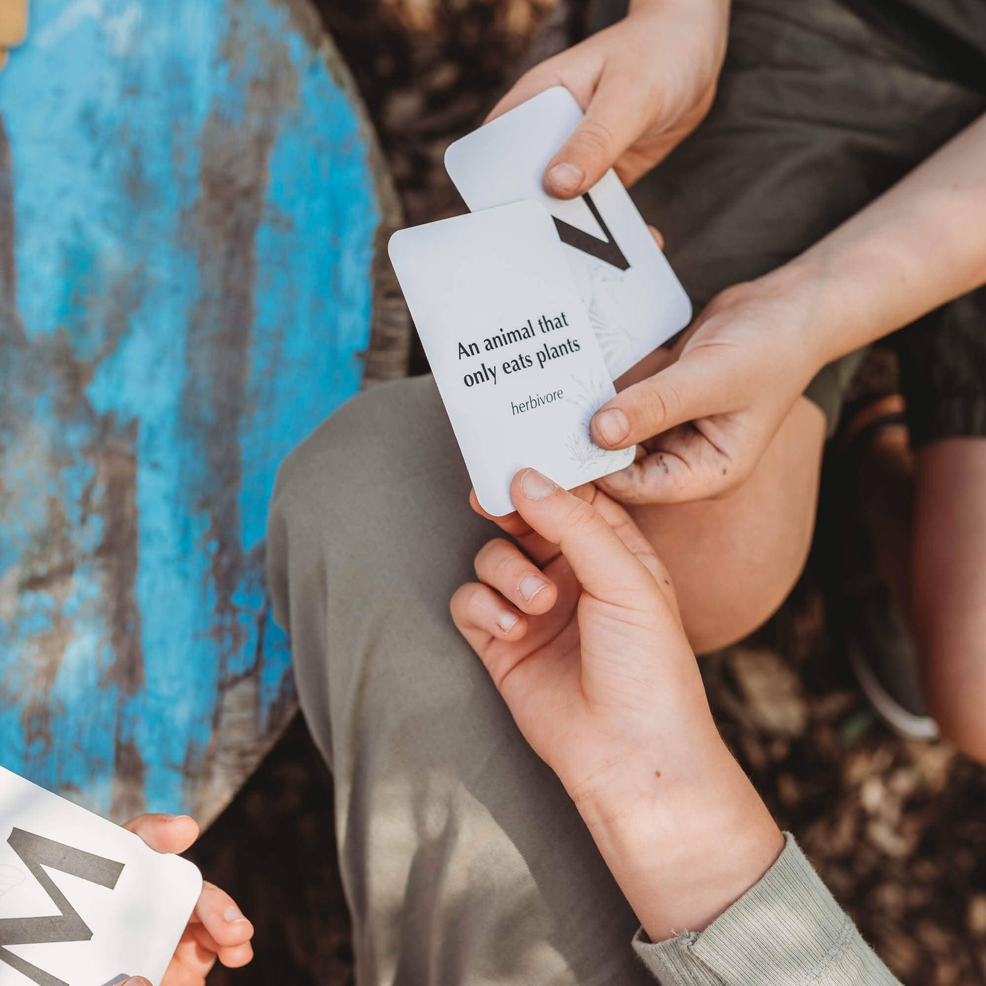 Your Wild Books - Wholesale Card game - Wild Quiz card game7