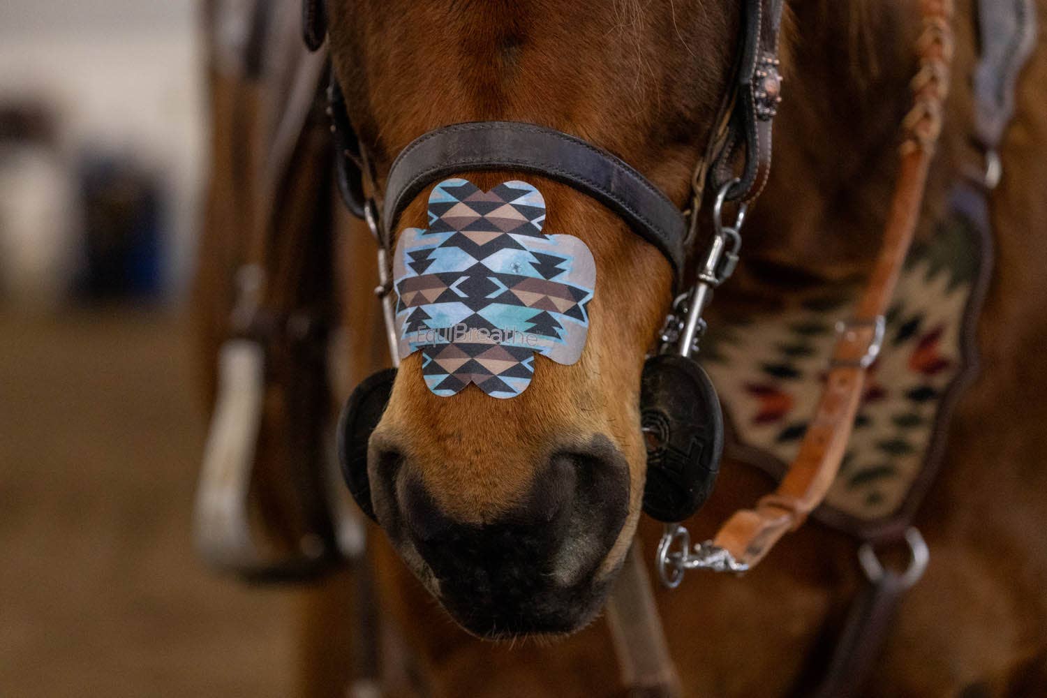 EquiBreathe™ - Wholesale Horseback Riding Gear - EquiBreathe™ Equine Nasal Patch - Aztec2