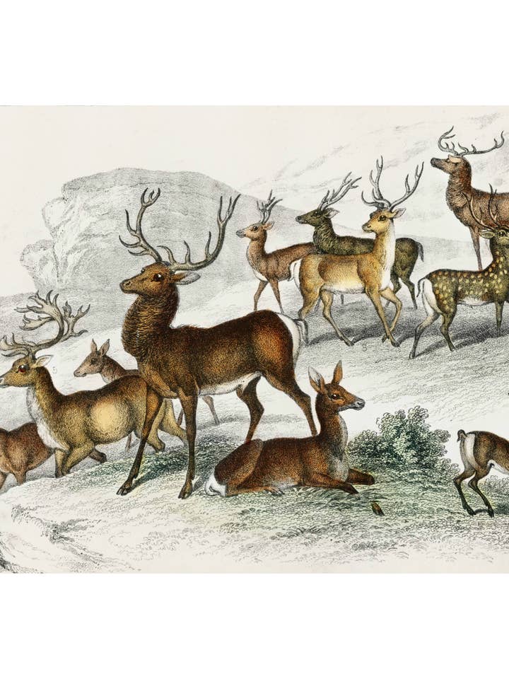 Les aides du Père Noël pour la vente par Sweet Tree Cards