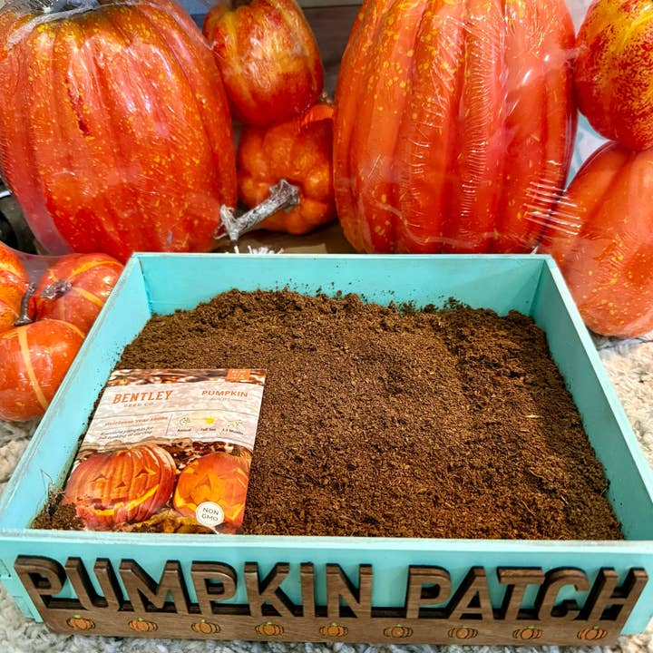 Pumpkin Planter Box for wholesale by Paisley Grace Makery