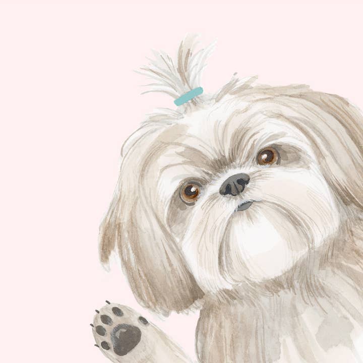 Dear Hancock - Wholesale Birthday Card - Hope Your Birthday is the Shihtz1