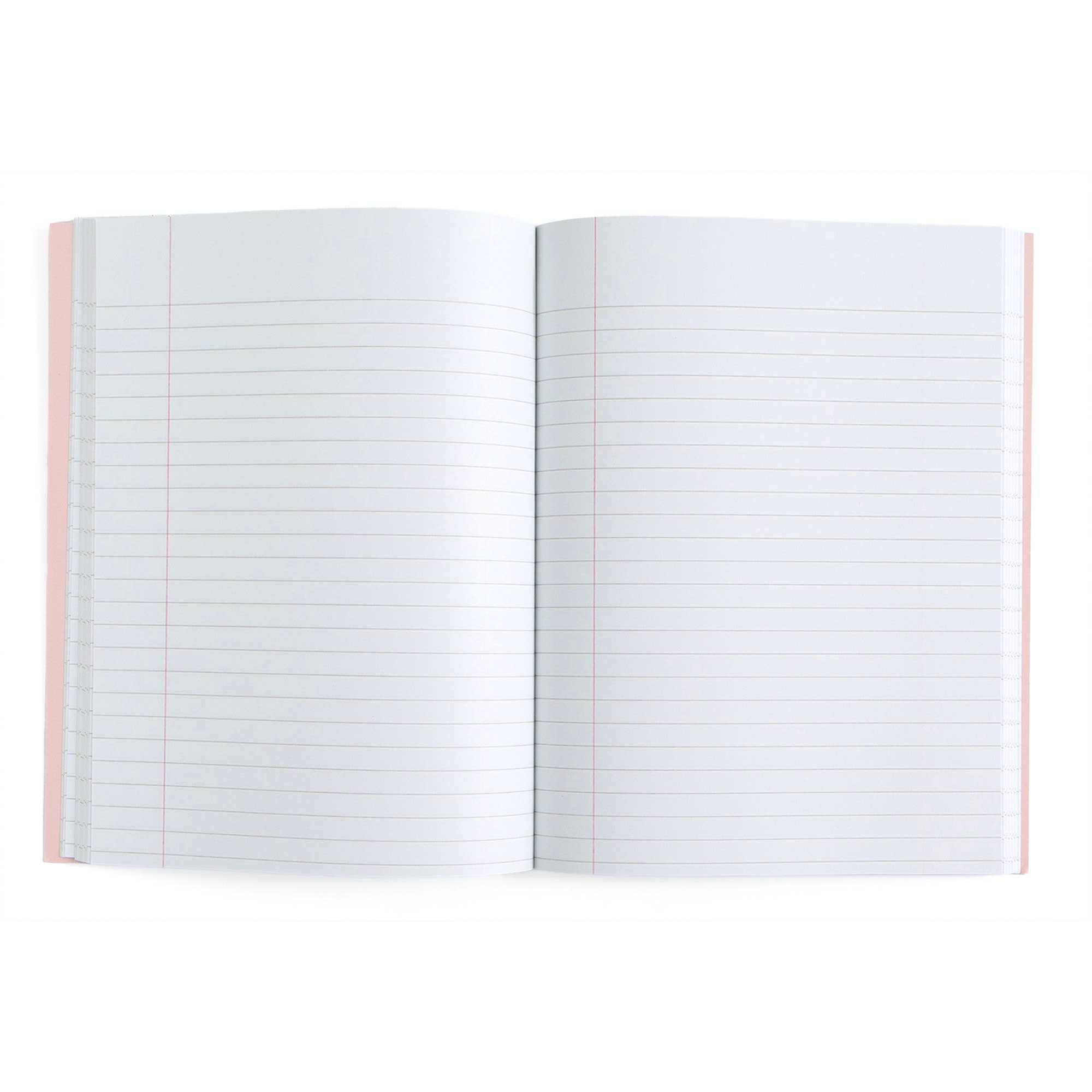 Pippi Post - Wholesale Notebook - Library Books Composition Notebook1