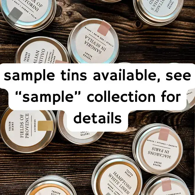 Seven Continents - Wholesale Car Freshener - Unisex - christmas scented holiday hanging car diffuser air freshener3