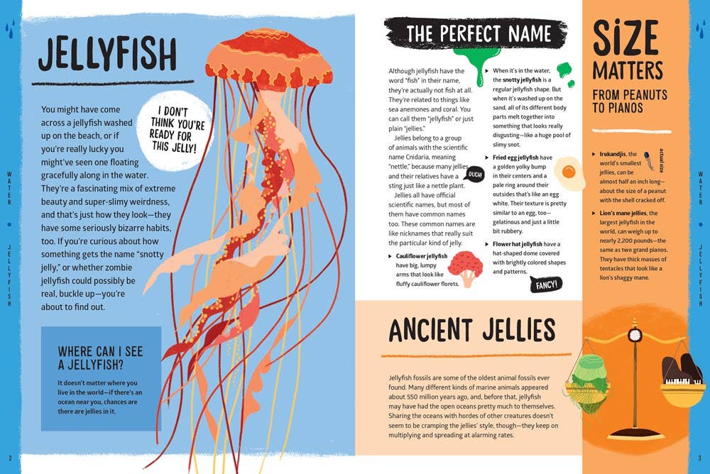 W. W. Norton - Wholesale Nature & Outdoors - Weird, Wild, Amazing! Water3