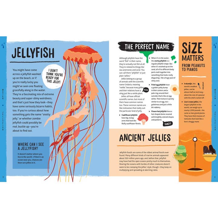 W. W. Norton - Wholesale Nature & Outdoors - Weird, Wild, Amazing! Water3