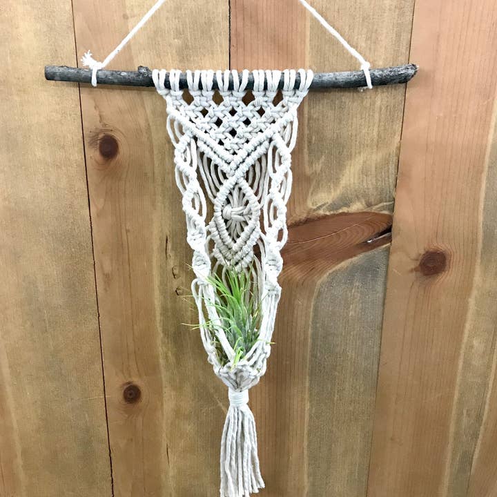 Tangled Up In Hue - Wholesale DIY Craft Kit - DIY Macrame Air Plant Hanger kit - The Anna