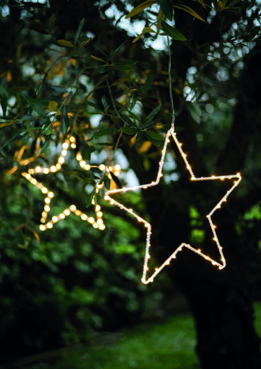 Fiorirà un giardino - Wholesale Christmas Decoration - Star 50 LED Battery Indoor/Outdoor H50 cm1