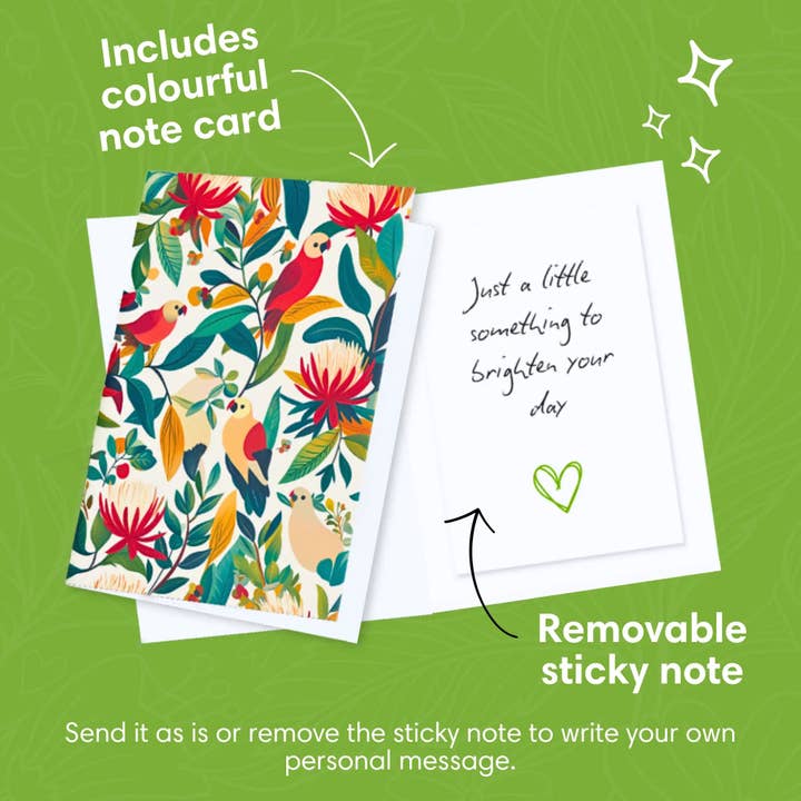 PetalPal - Wholesale Everyday Greeting Card - Kirribilli Sunset Pop-Up Bouquet