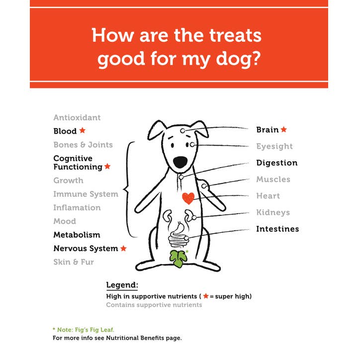 Fig & Tyler - Wholesale Pet Treats - Dog - Freeze-Dried Beef Heart Morsels4