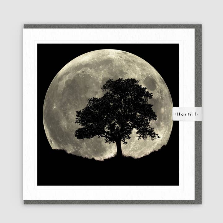 Under Moonlight lykønskningskort for engroshandel hos Hartill