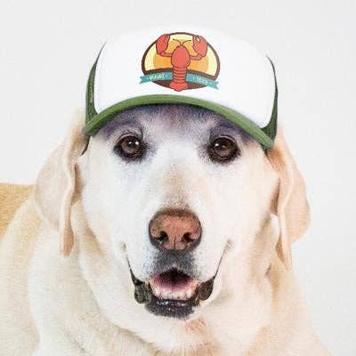 PupLid - Wholesale Pet Hat - Dog - Lobster Standard or Namedrop | Trucker Hat for Dogs9
