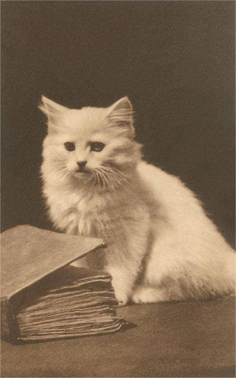 Found Image Press - Wholesale Art Print - Art Print LT-343 Untitled0