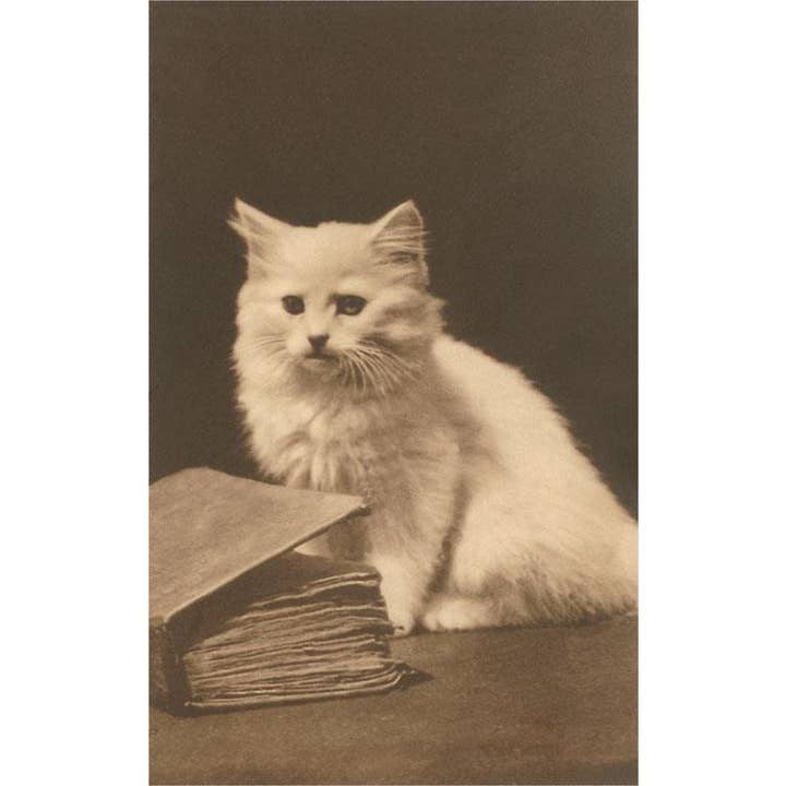 Found Image Press - Wholesale Sticker - Sticker LT-343 Untitled