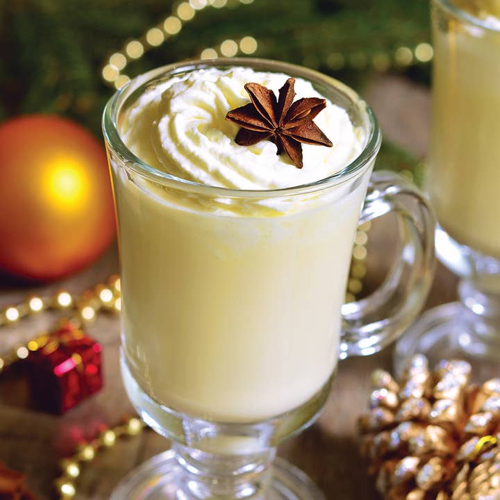 Nectar of the Vine - Wholesale Cocktail Mix/Syrup - 10-Pack Eggnog Cocktail Mix