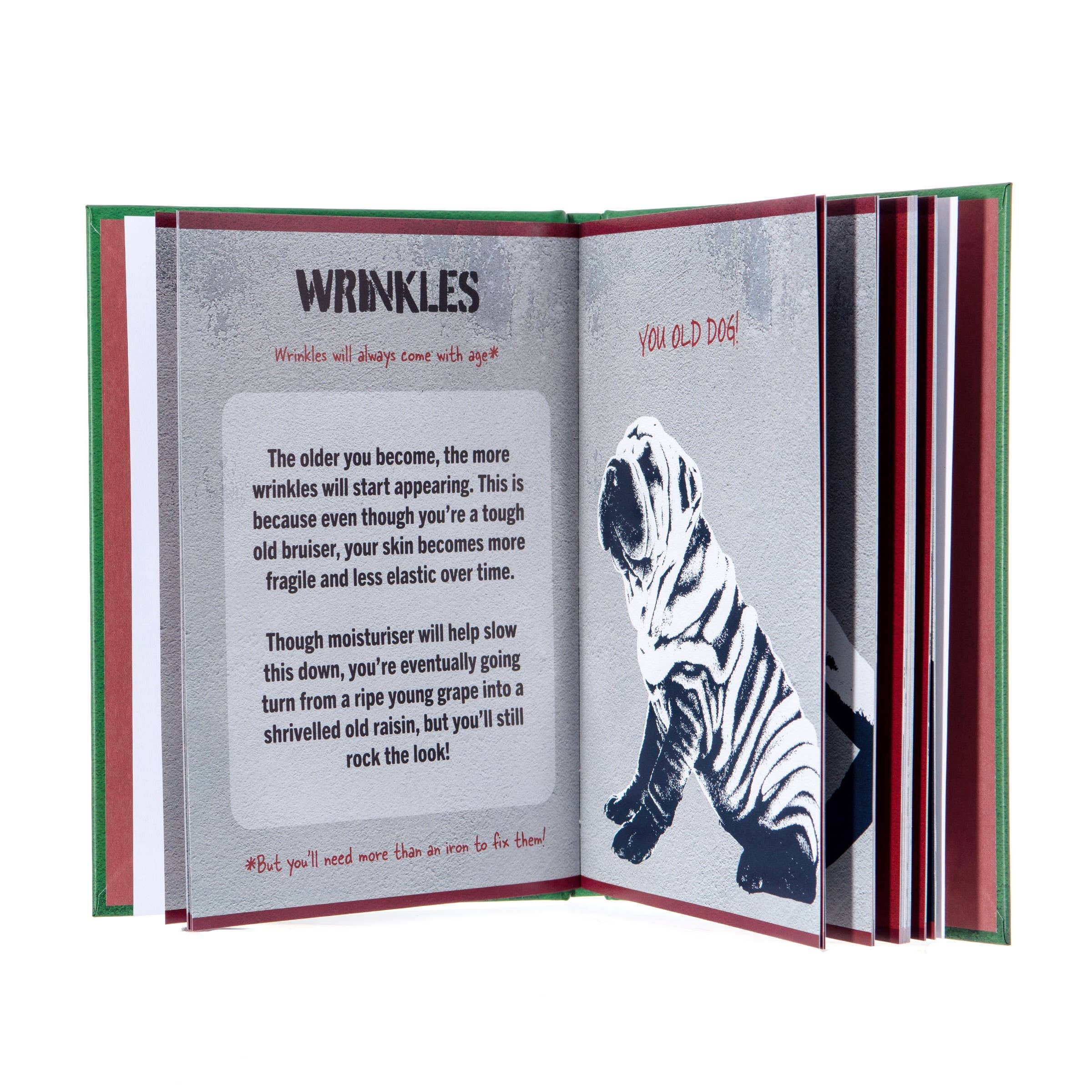 Boxer Gifts EU - Wholesale Humor - A Mans Guide To Getting Old Book1