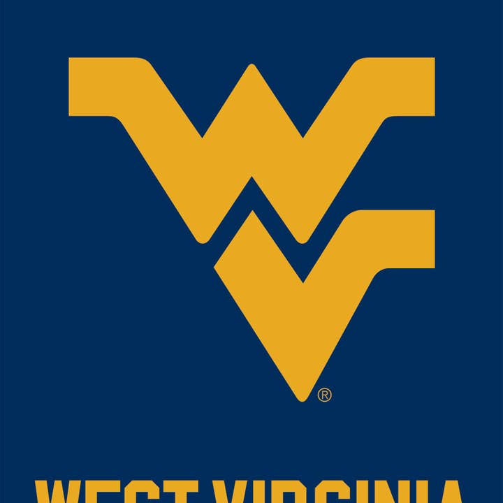 Briarwood Lane - Wholesale Flag - West Virginia Mountaineers NCAA Garden Flag