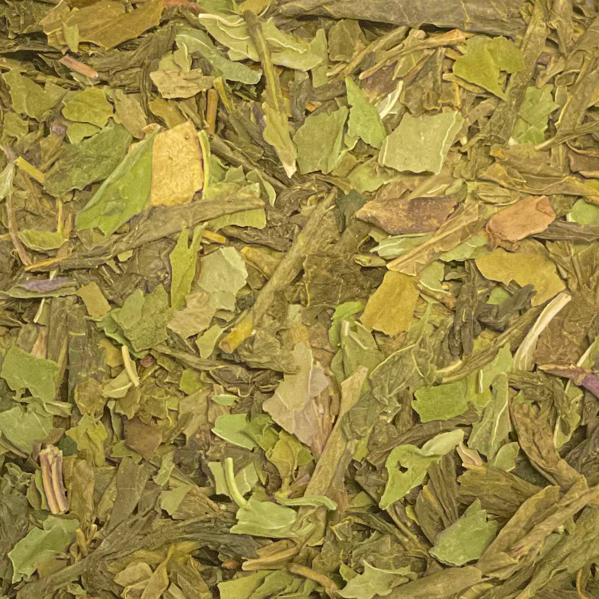 Hiver et thes – wholesale Löst te – MOROCCO - Mynte-te 'Tuareg-te'1