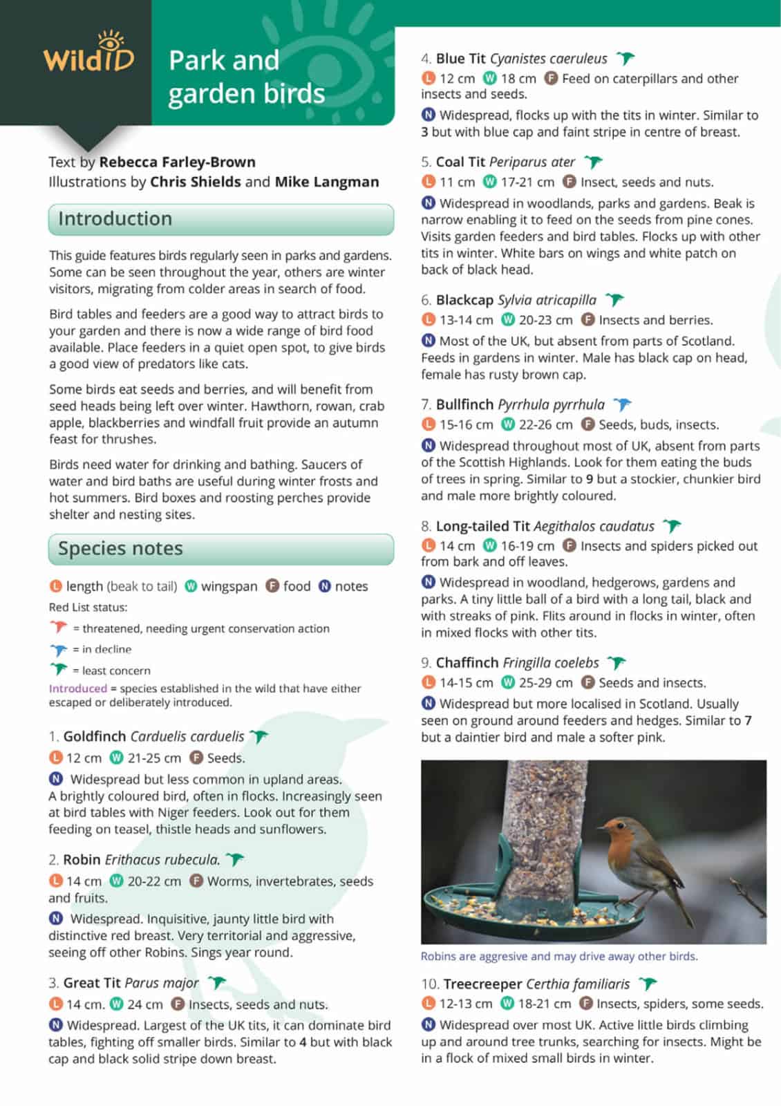 Green Feathers – wholesale Nature and outdoors – Park and Garden Birds Illustrated Chart2