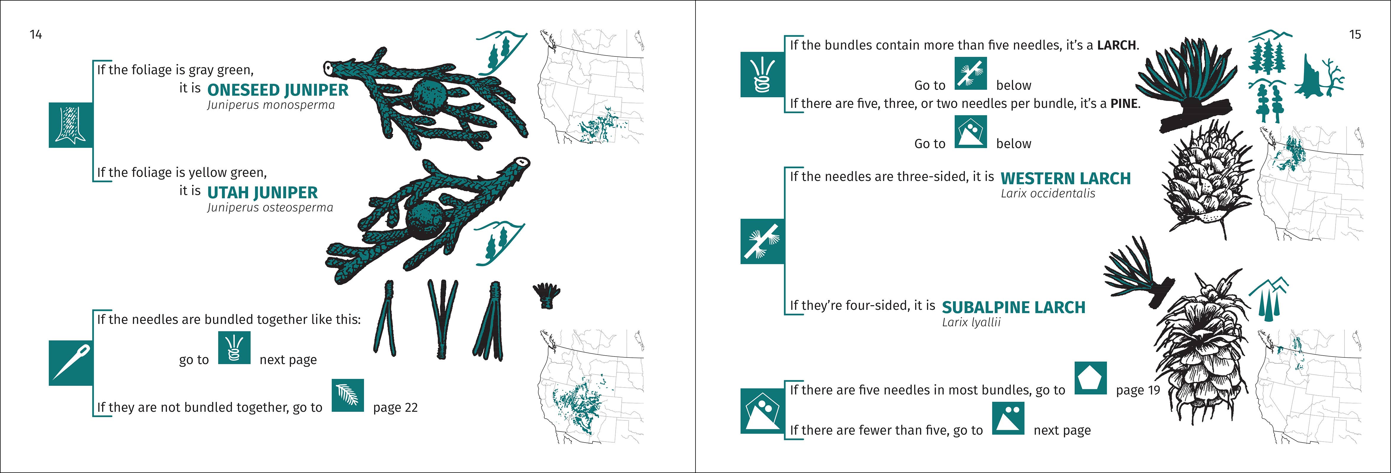 AdventureKEEN - Wholesale Nature & Outdoors - Rocky Mountain Tree Finder 3rd Edition6