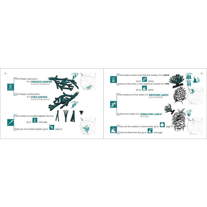 AdventureKEEN - Wholesale Nature & Outdoors - Rocky Mountain Tree Finder 3rd Edition6