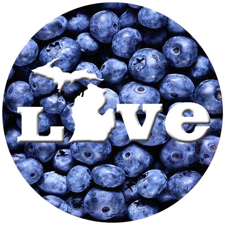 Blåbær Kærlighed for engroshandel hos Andreas