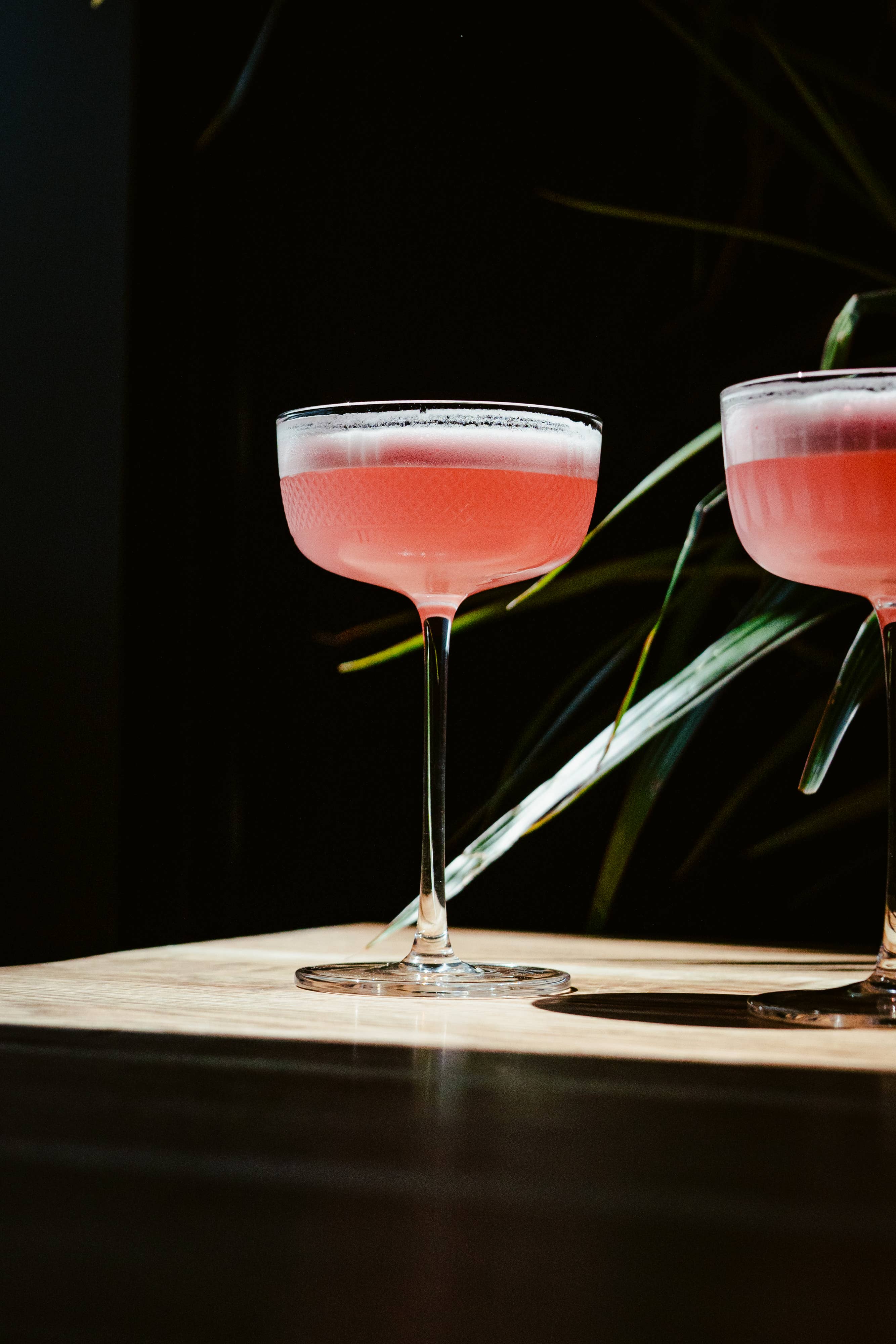 Hospitality Glass – Engroshandel Cocktail-/likørglas – Vibrance 8 ounce coupé3