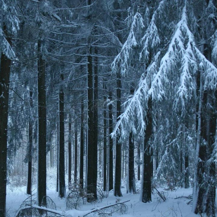 Is Vanilla Woods Glas Bil Diffuser Freshie - Vælg din flaske for engroshandel hos Poorely Made Crafts