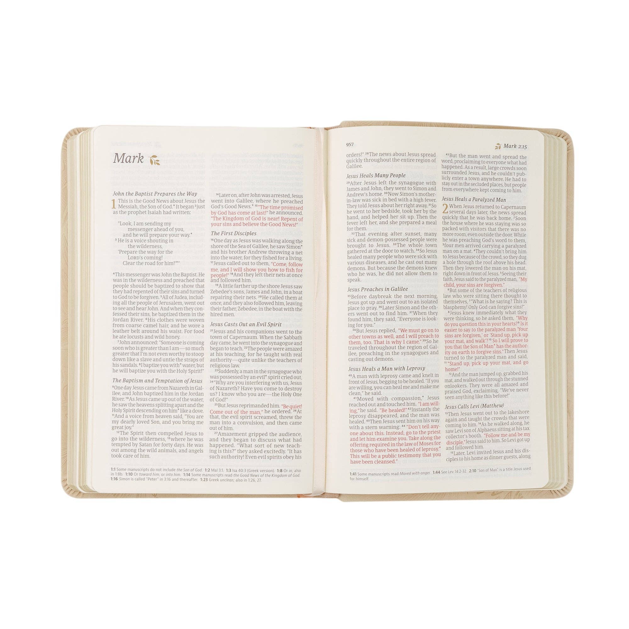 Hosanna Revival – wholesale Religion book – NLT Compact Bible: Sonora Theme5
