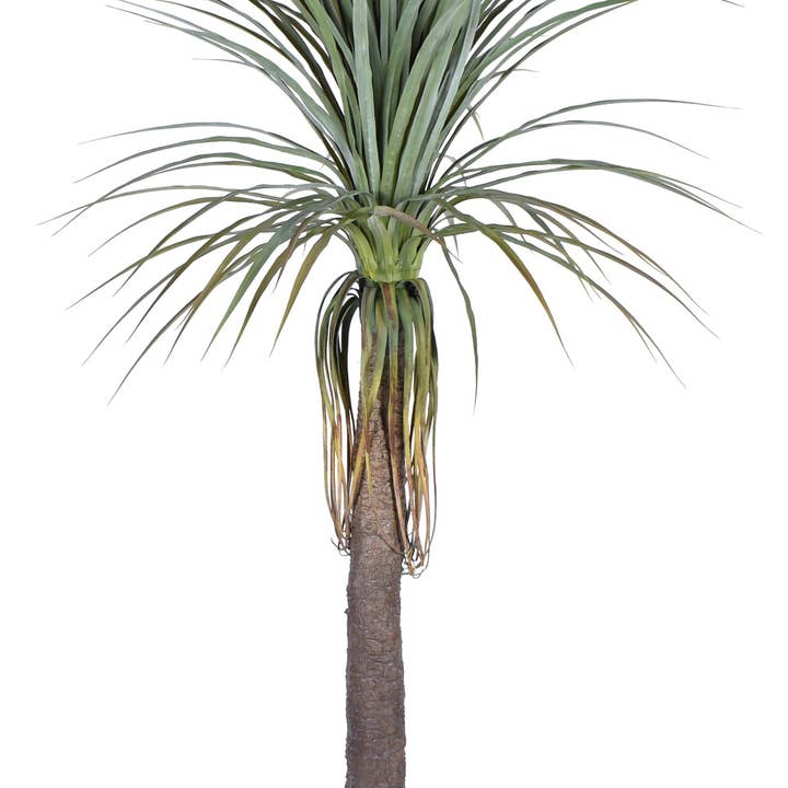 6.5' UV Protected Mezcal Plant FP1273UV for wholesale by Replica Plants and Decor