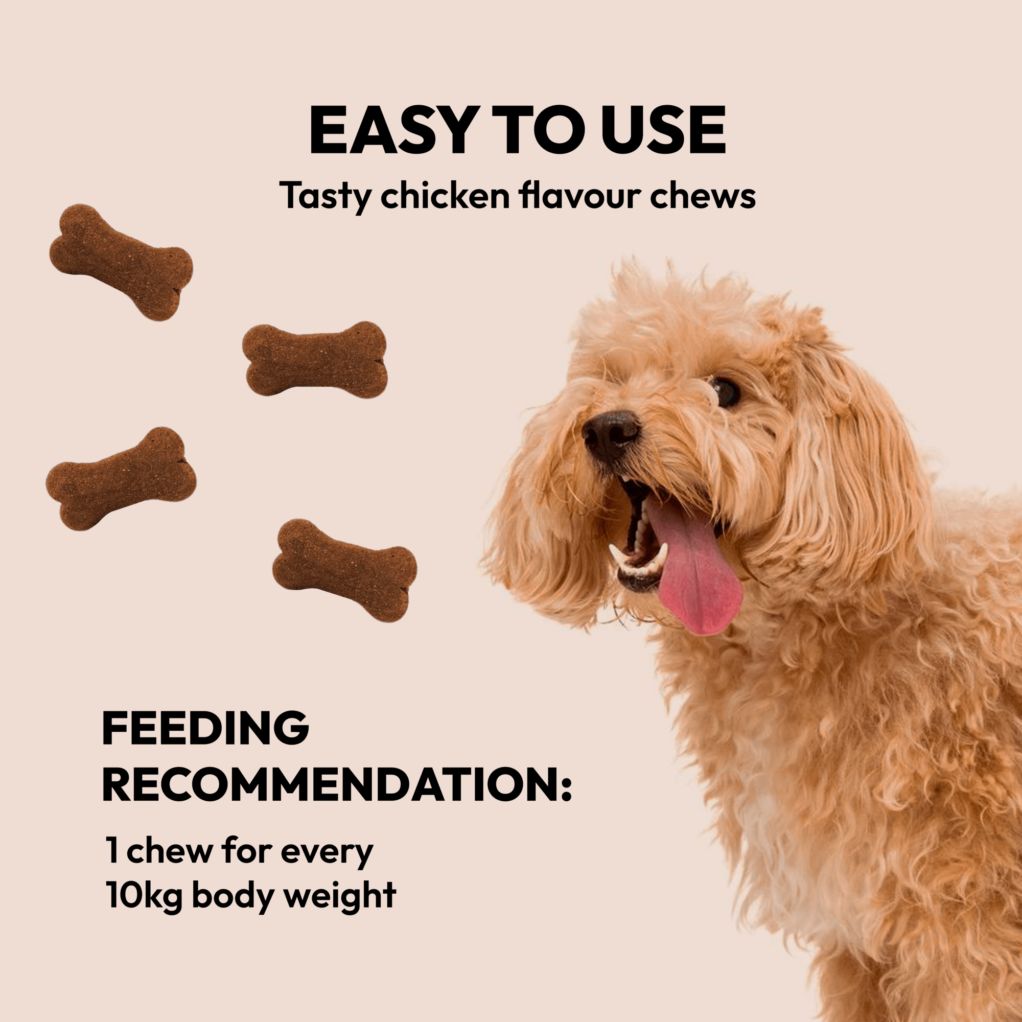 BellyDog - Wholesale Pet Supplement - Dog - Pre & Probiotic Support4