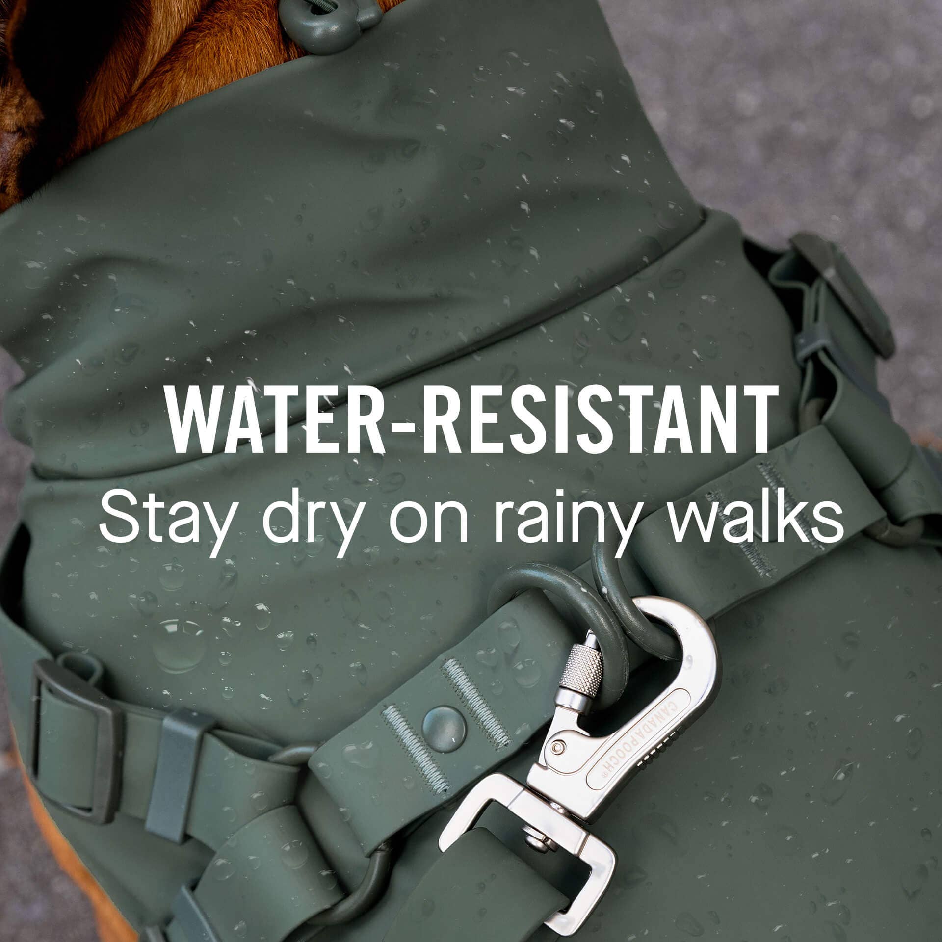 Canada Pooch - Vente Imperméable – chien - Imperméable harnais pour chien - manteau de pluie15