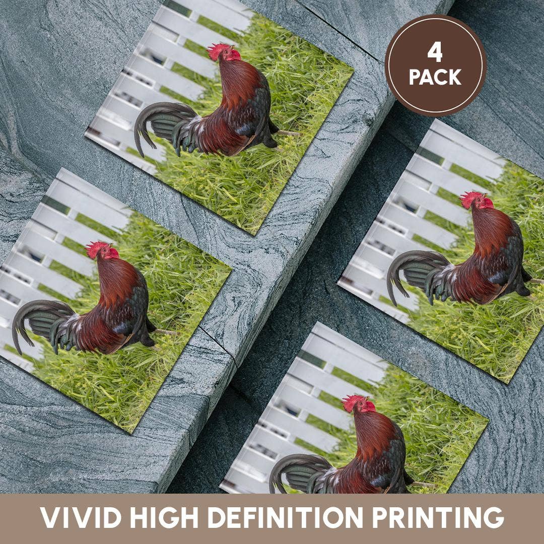 3dRose - Wholesale Coasters - 3dRose, Cubalaya Gypsy Rooster in Key West, Florida, USA., Coaster5