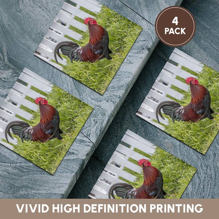 3dRose – wholesale Underlägg – 3dRose, Cubalaya Gypsy-tupp i Key West, Florida, USA., Glasunderlägg5