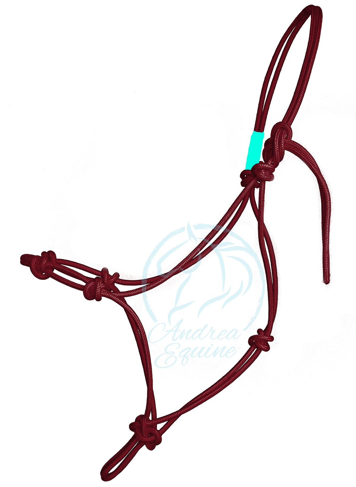 Andrea Equine - Wholesale Paardrijuitrusting - Stijf trainingshalster voor clinici met 4 knopen8