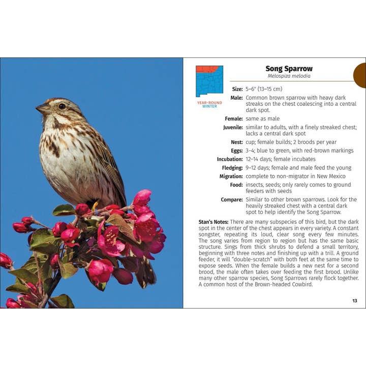 AdventureKEEN - Wholesale Nature Guide - Birds of New Mexico Field Guide 2e