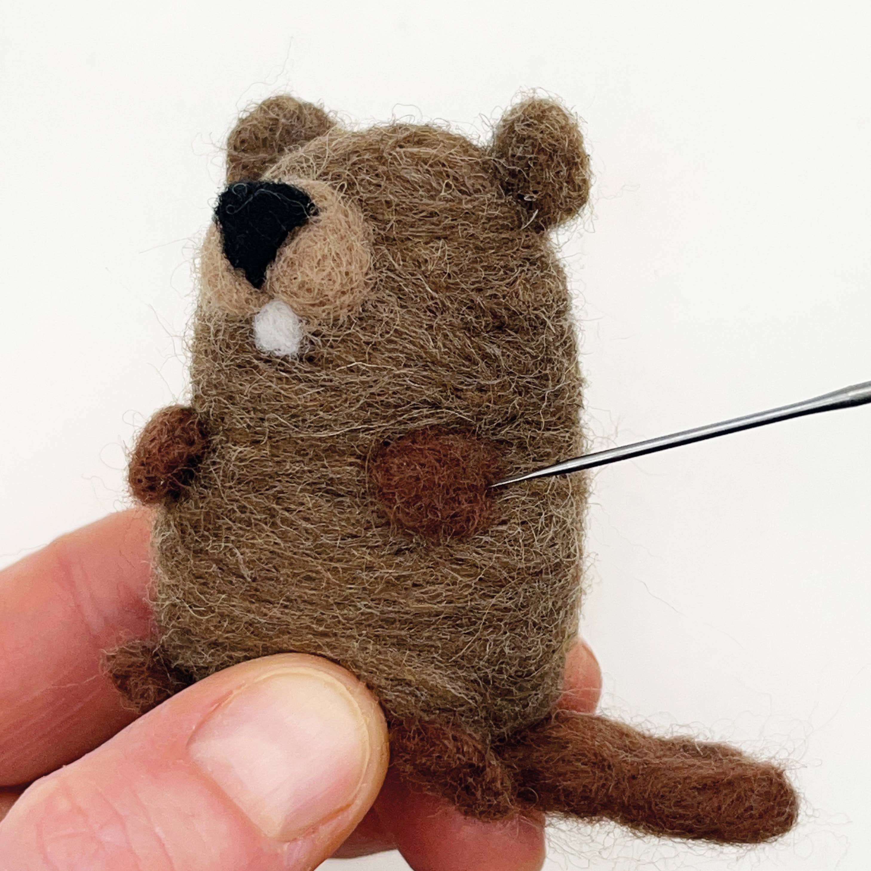 Bergin & Bath - Venta al por mayor Kit de manualidades - Kit de Fieltro con Aguja Castores5