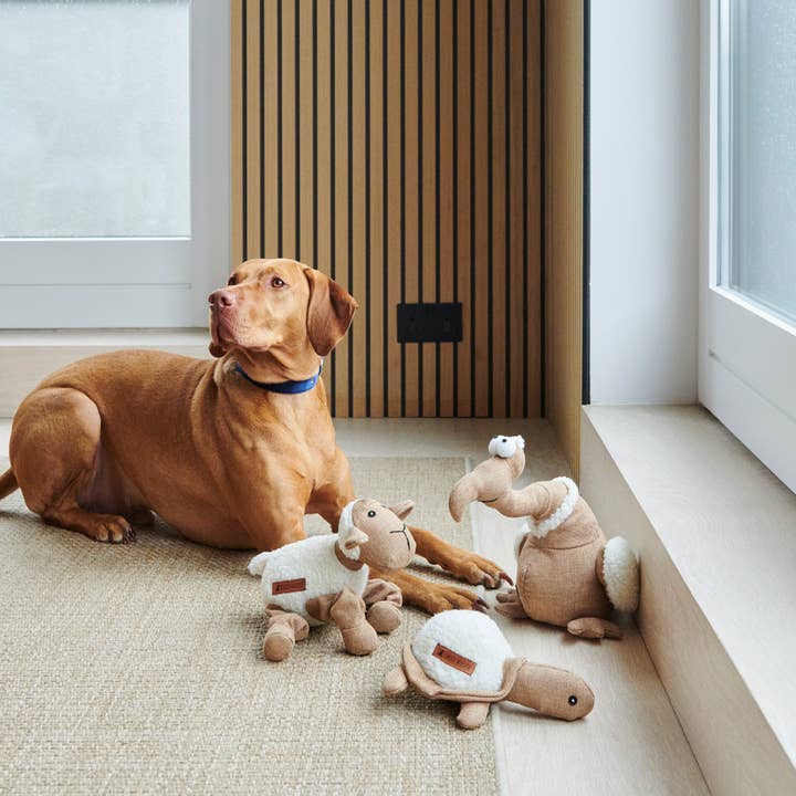 Sweet William Designs - Vente Peluche – chien - Jouet pour chien - Woolliam l'agneau3