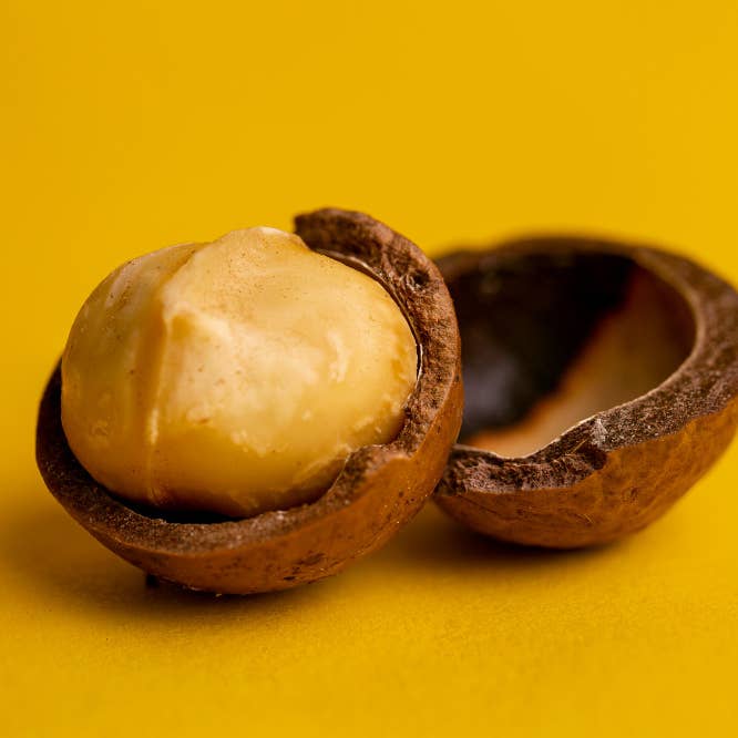 HECOSFAIR - Vendita all'ingrosso Frutta secca - Noci di macadamia crude biologiche provenienti dall'Australia