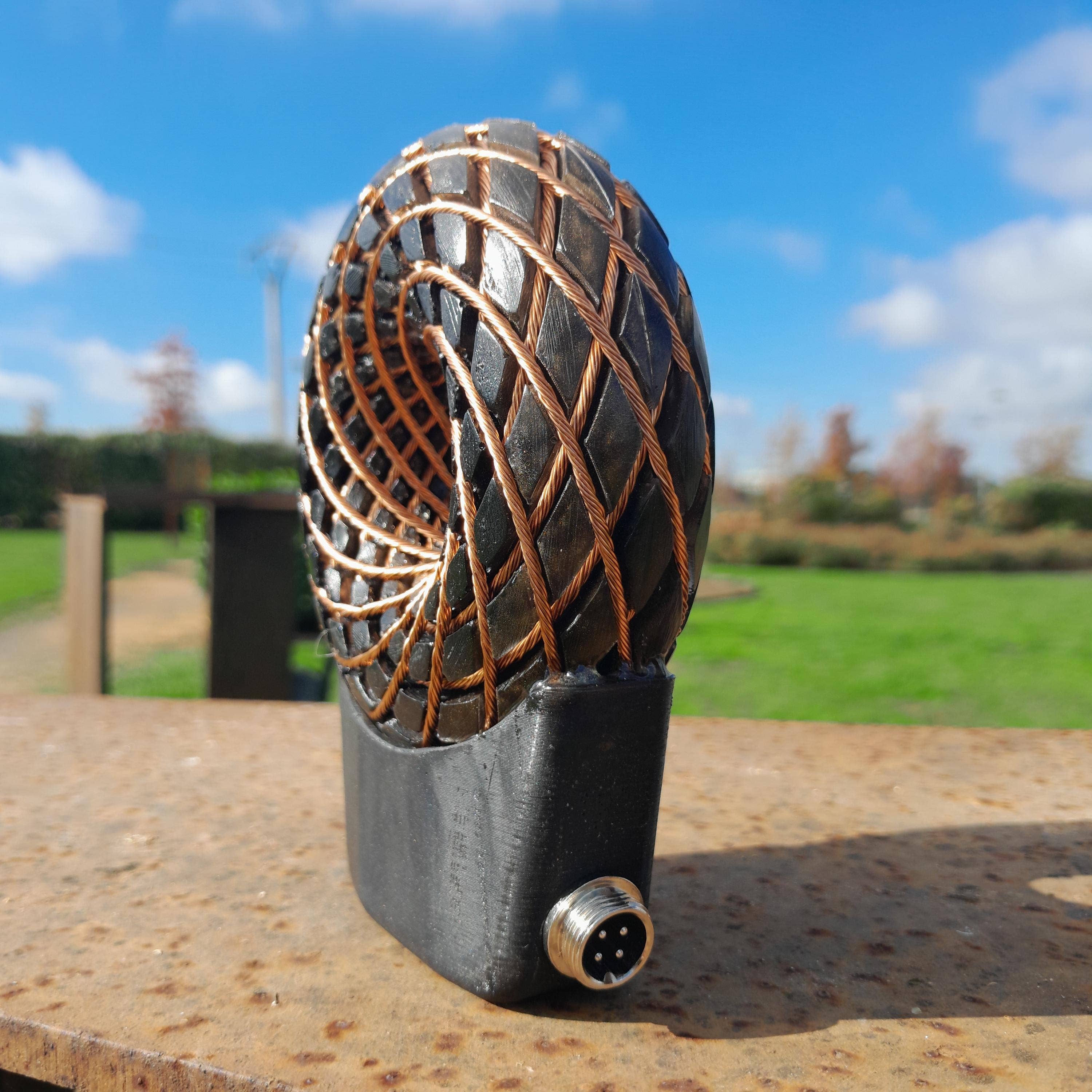 Mundo Orgon - Wholesale Meditation Supplies - Rodin Torus Coil 100mm | Portable Scalar Wave PEMF Device with Shungite, Case, and 60W Amplifier3