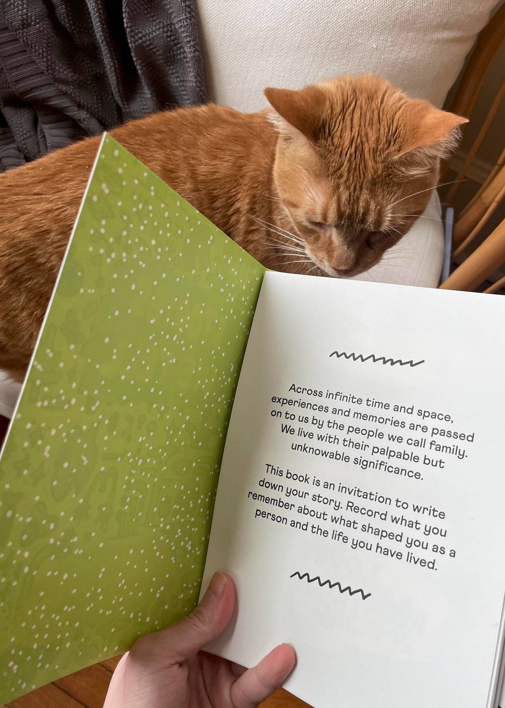 People I've Loved - Wholesale Journal/Diary - Stories We Tell Guided Journal - Case Pack of 6 Journals2