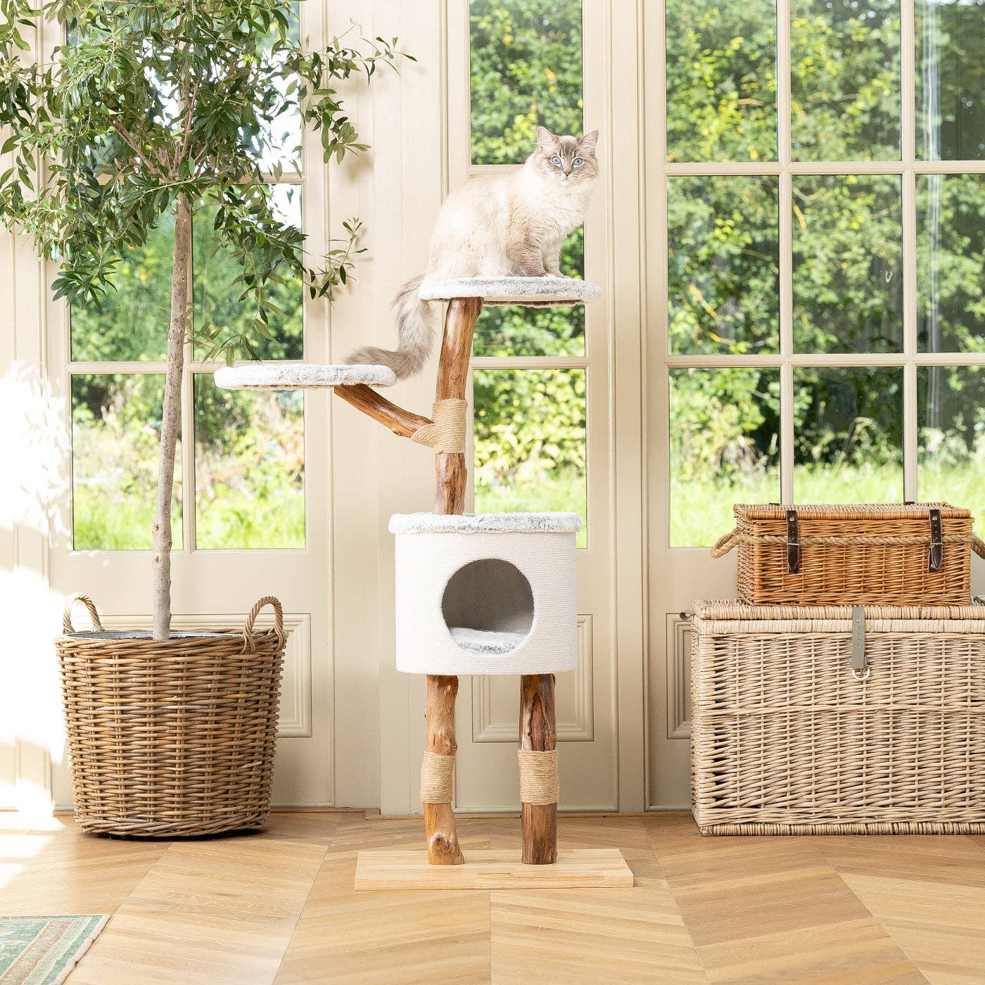 Lords and Labradors - Wholesale Pet Scratcher - Cat - Back to Nature The High Rise Cat Scratch Tree2