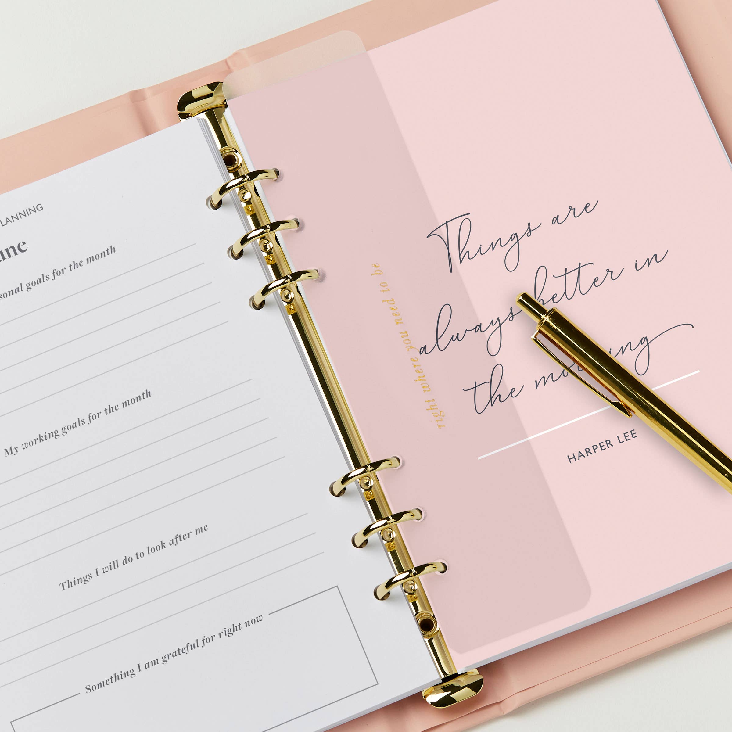 Martha Brook - Wholesale Planner - Dream Plan Do Life Planner & Diary (Mid-year or undated)3