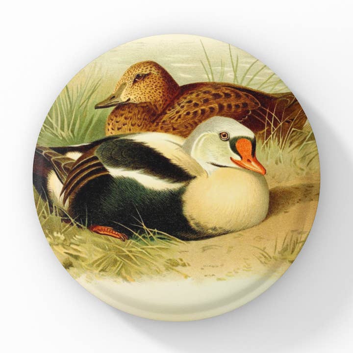 King Eider Duck Pin, Eider Duck Keychain, Eider Duck Magnet for wholesale by NatureCuts