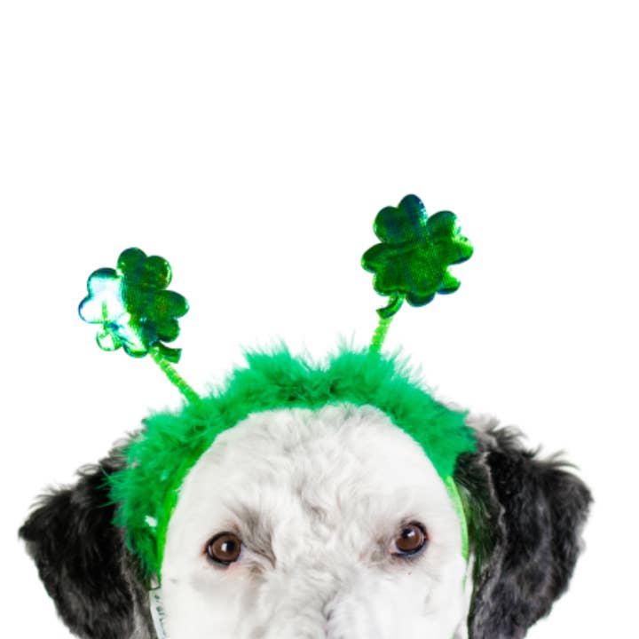 Midlee St. Patrick's Day Shamrock Dog Headband for wholesale by Midlee Designs